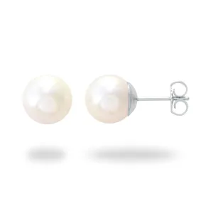 Akoya White Pearl Earrings in White Gold - 8mm