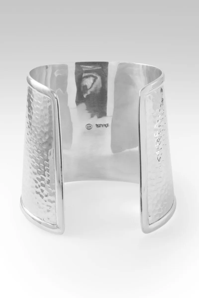 Brace Protector Cuff? in Dragon