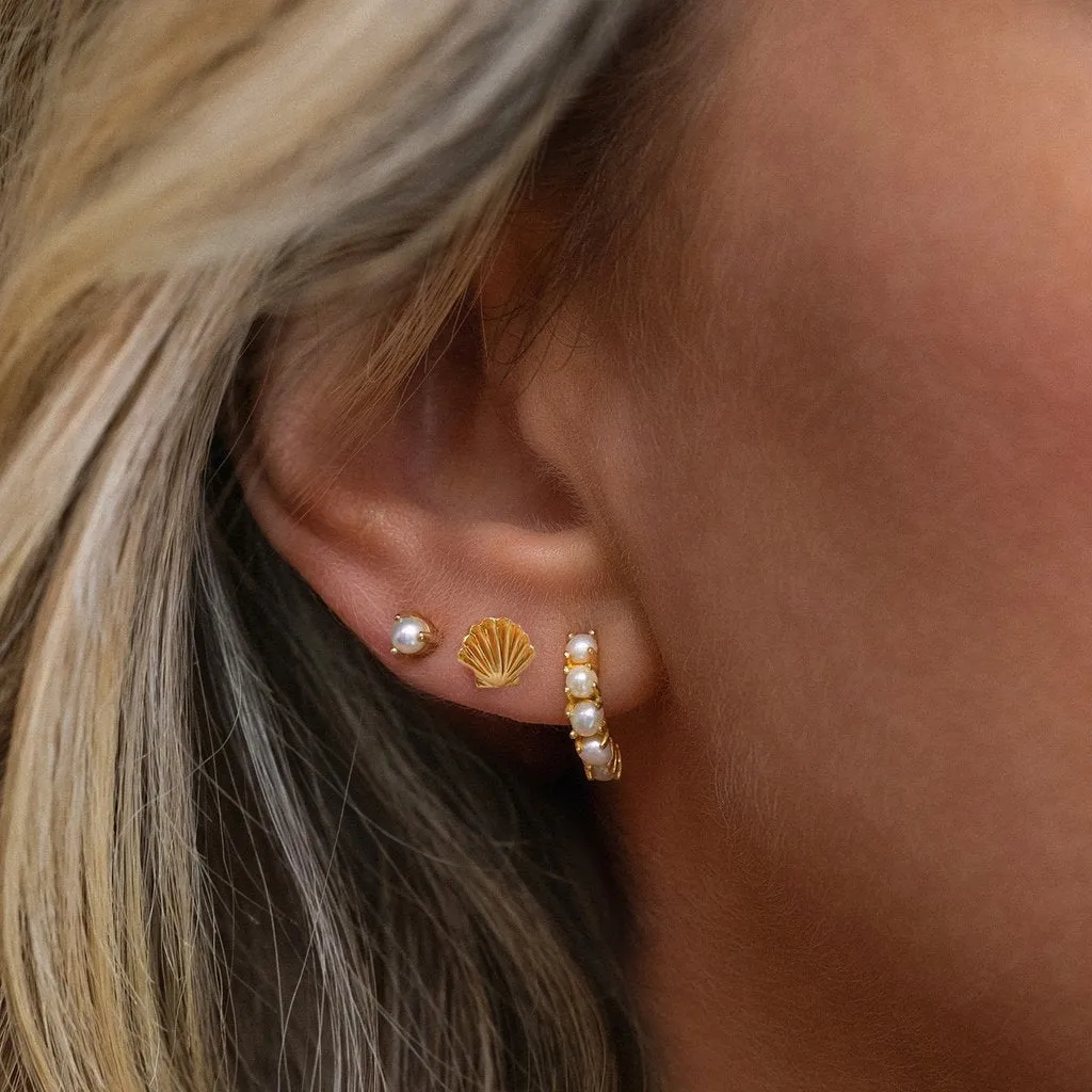 Coquille Studs | Gold