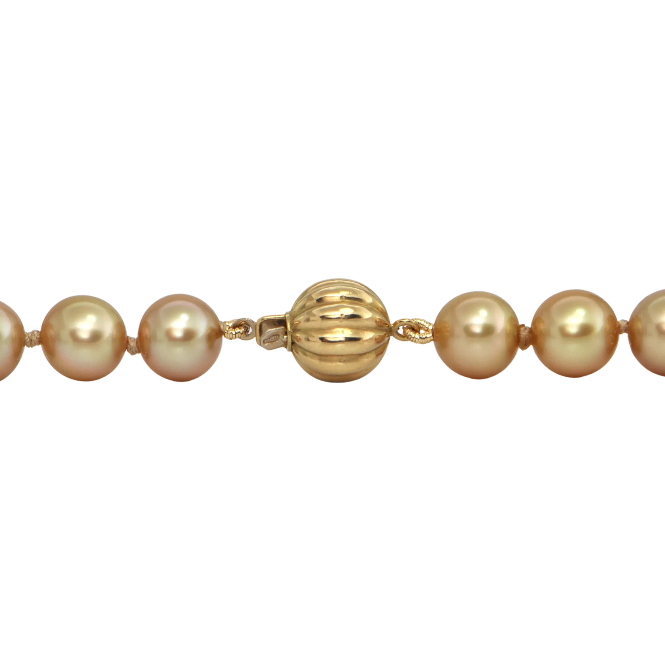 Daisy Exclusive AAA Golden South Sea Cultured Pearl Necklace with 18K Gold Clasp