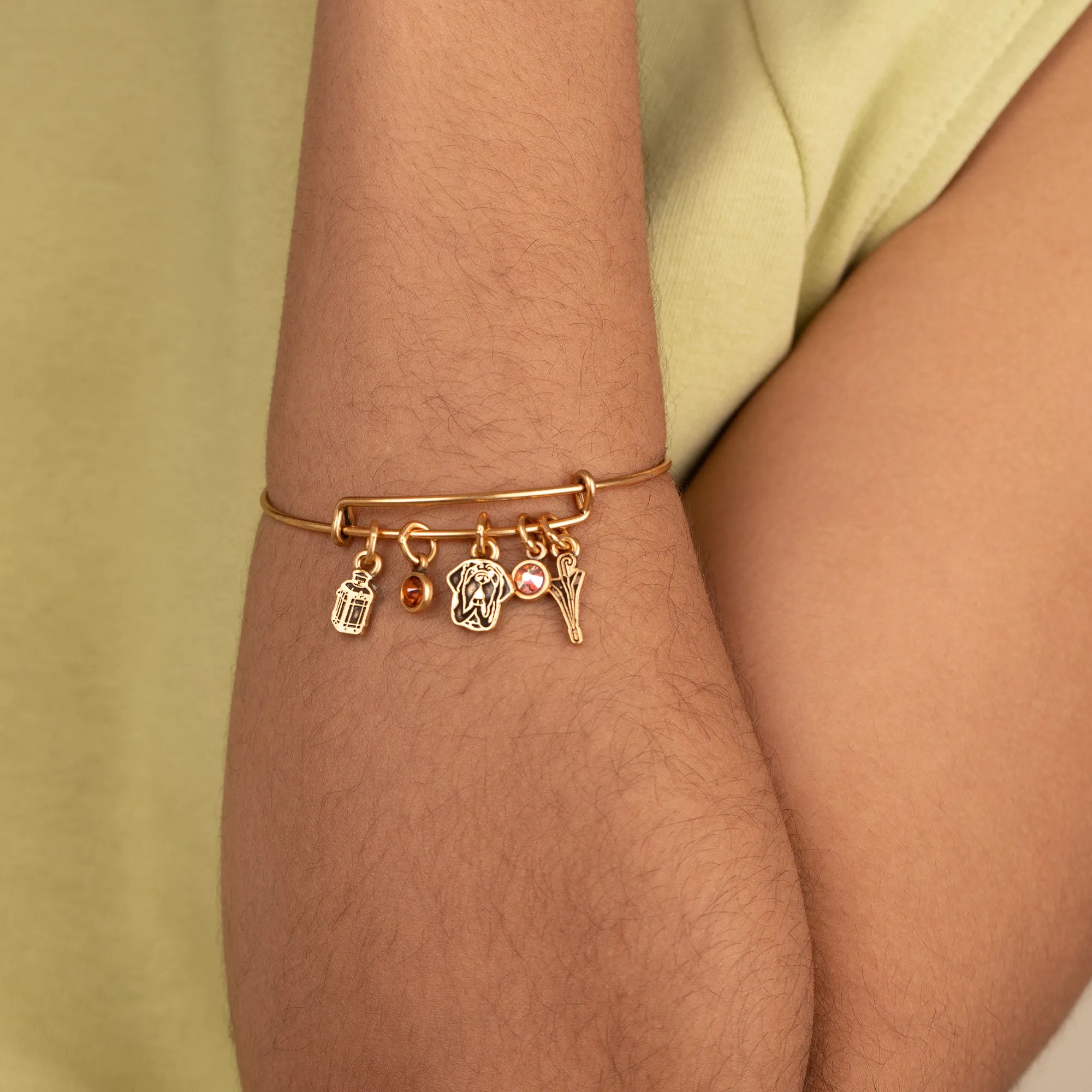 Harry Potter? Hagrid Multi-Charm Bangle