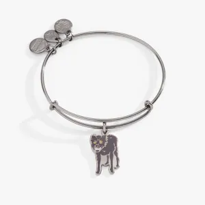 Harry Potter? Sirius Black Charm Bangle Bracelet