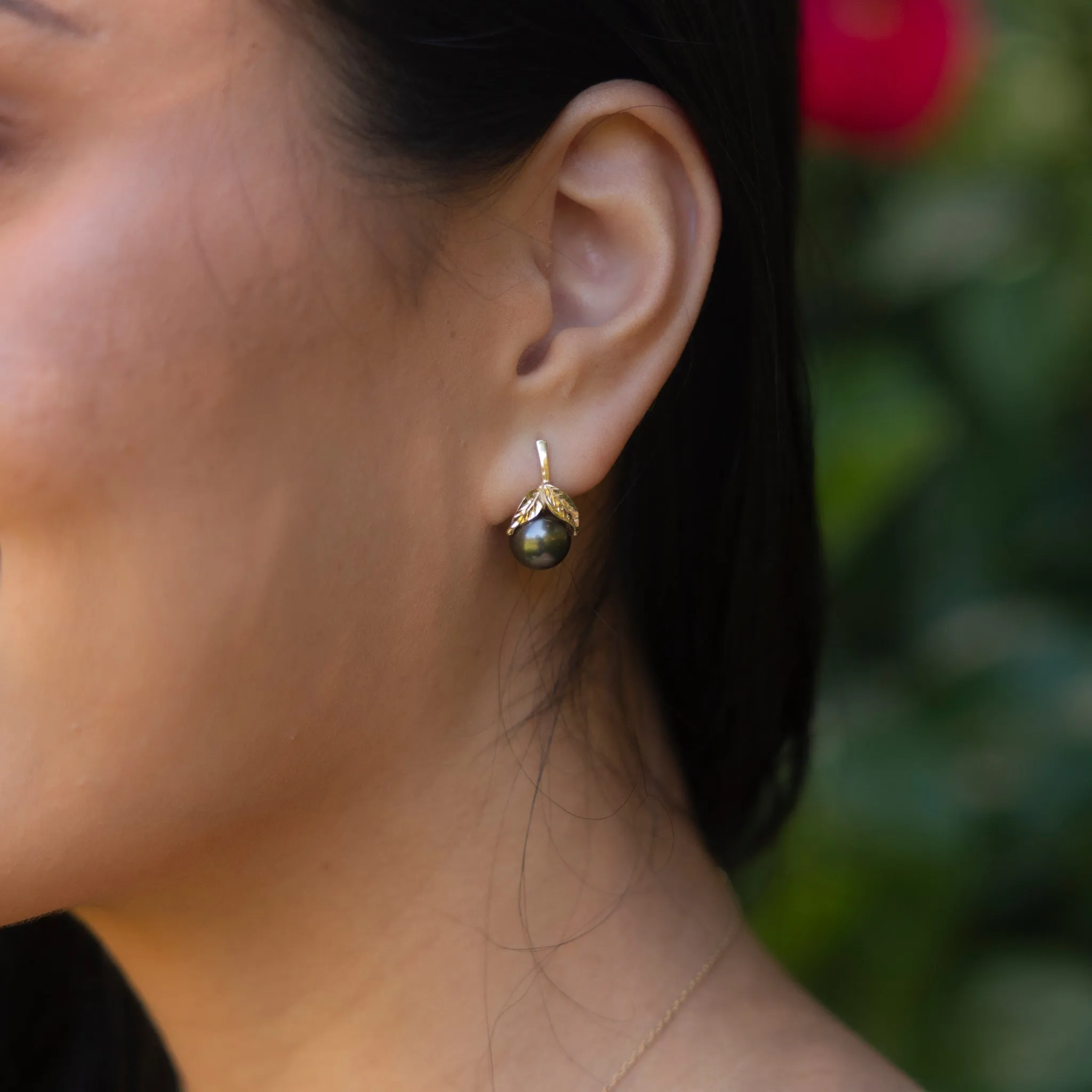 Maile Tahitian Black Pearl Earrings in Gold - 9-10mm