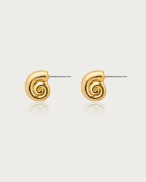 Nautilus Shell Stud Earrings