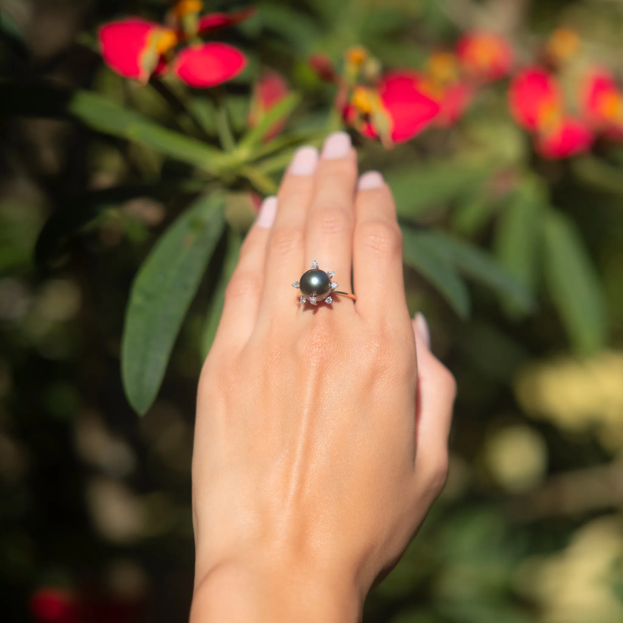 Protea Tahitian Black Pearl Ring in Gold with Diamonds - 10-11mm