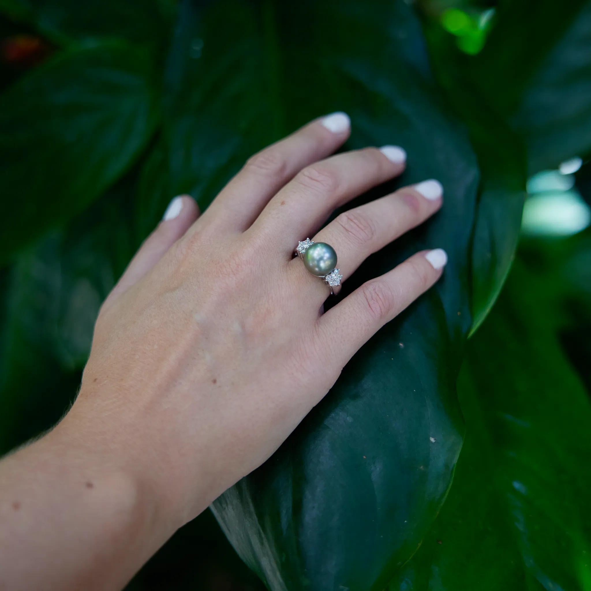 Tahitian Black Pearl Ring in White Gold with Diamonds - 11-12mm
