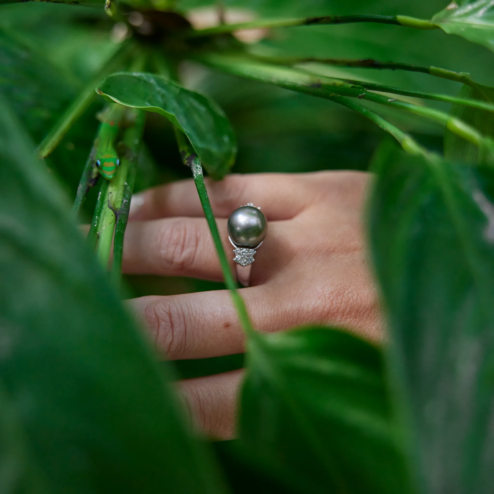 Tahitian Black Pearl Ring in White Gold with Diamonds - 11-12mm