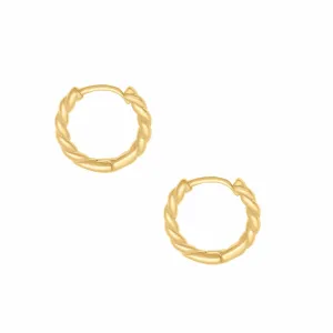 Twisted Hoop Earrings